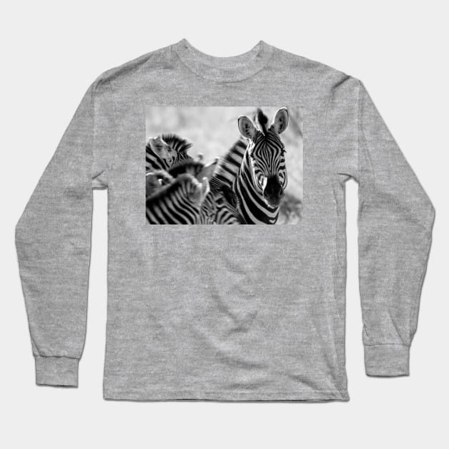 Zebra print, monochrome Long Sleeve T-Shirt by brians101